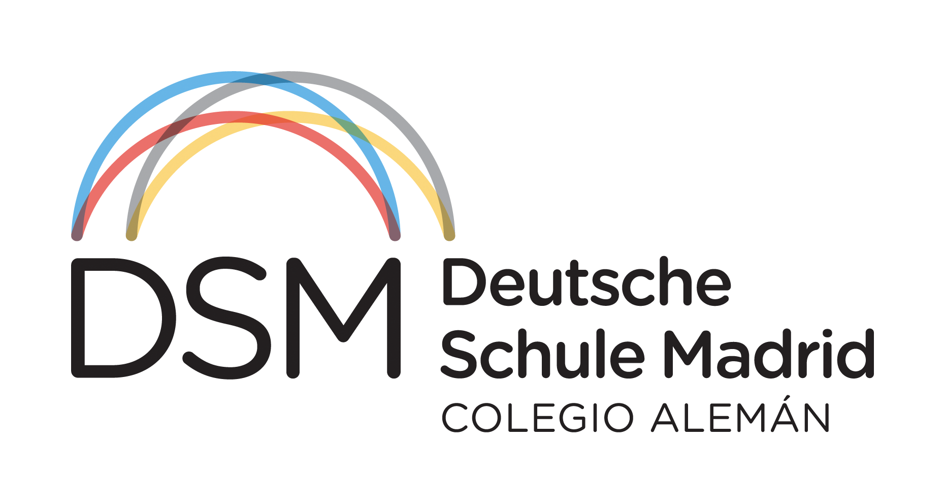 DSM Logo